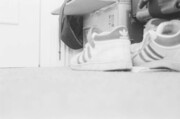 Trainers Trainers